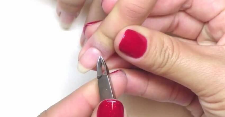 Best cuticle nipper