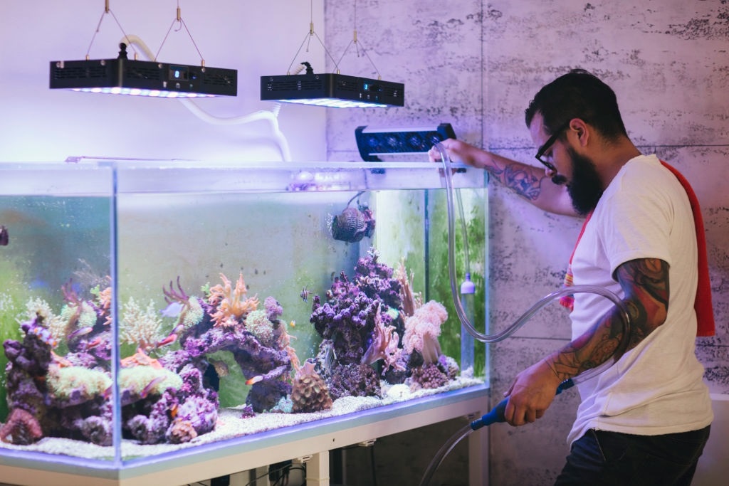 Best LED Aquarium Lighting For Plants & SPS Corals