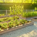 DIY raised garden beds- toolz2