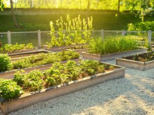 DIY raised garden beds- toolz2